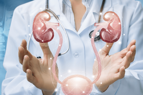 Urologist Female Doctor